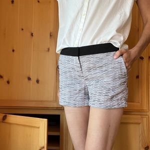 Ann Taylor Loft Dressy Tweed Shorts